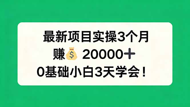 最新项目实操3个月，赚钱20000+，0基础小白3天学会！-优创云